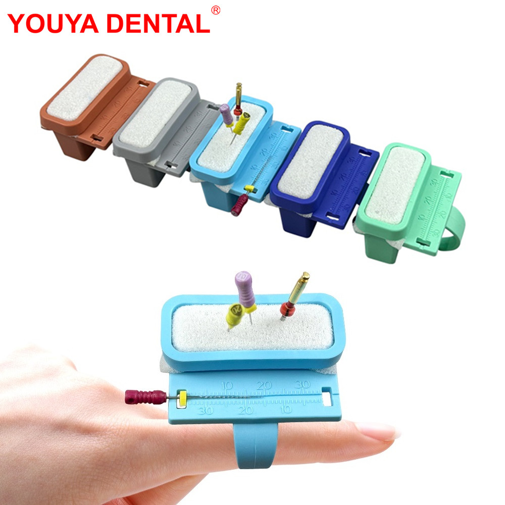 Eco Sponge - Dental Endo Dateien Halter Finger Lineal