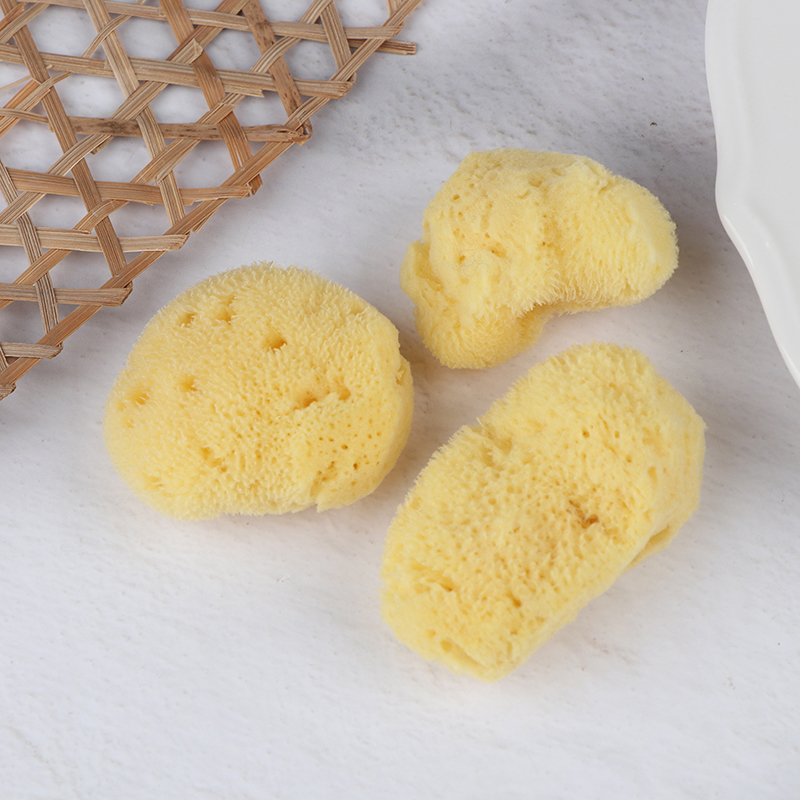 Spezielle Textur Produktion Re – Eco Sponge Bewertung und Preis