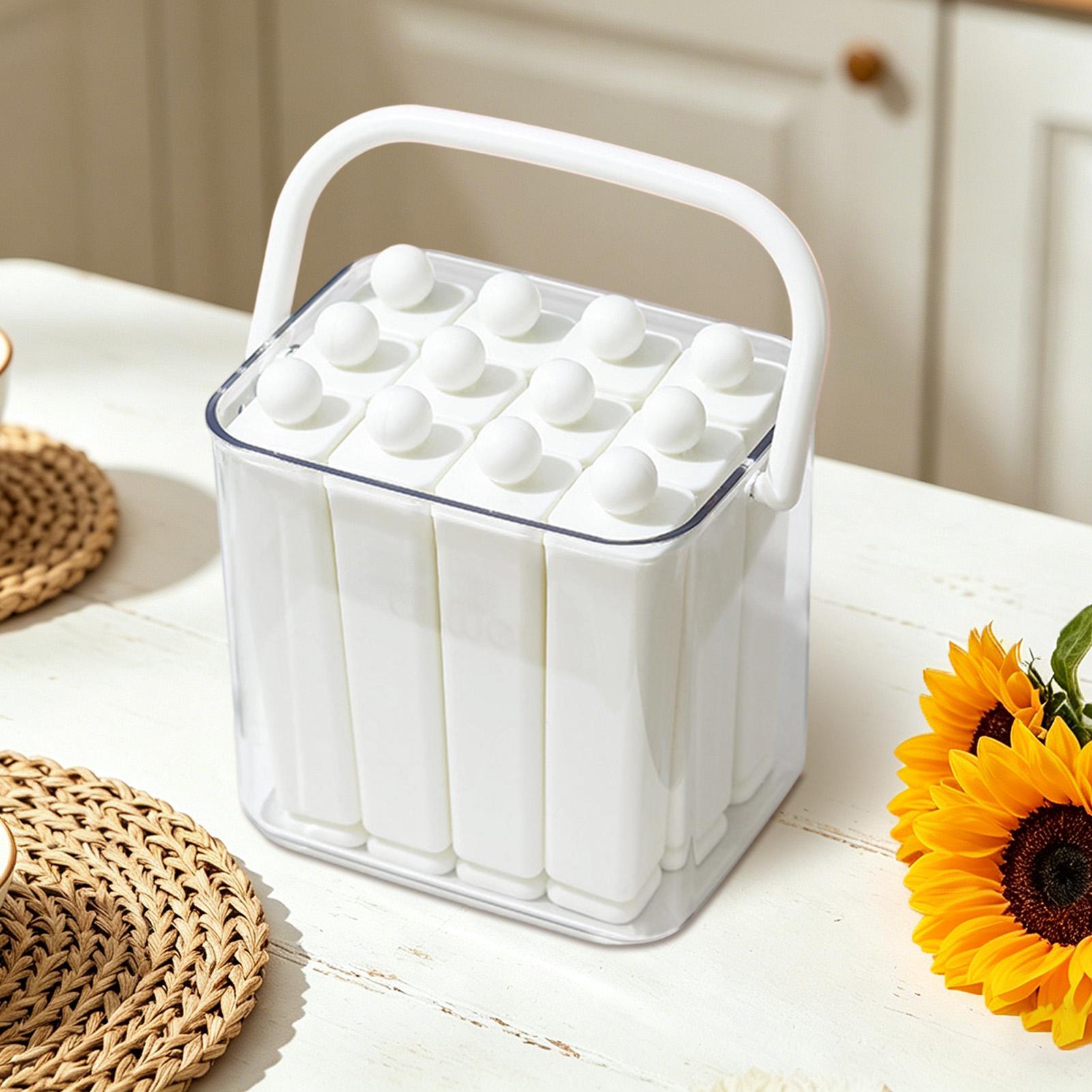 Eisform für Champagnerflaschen – Reusable Bottle Bewertung und Preis