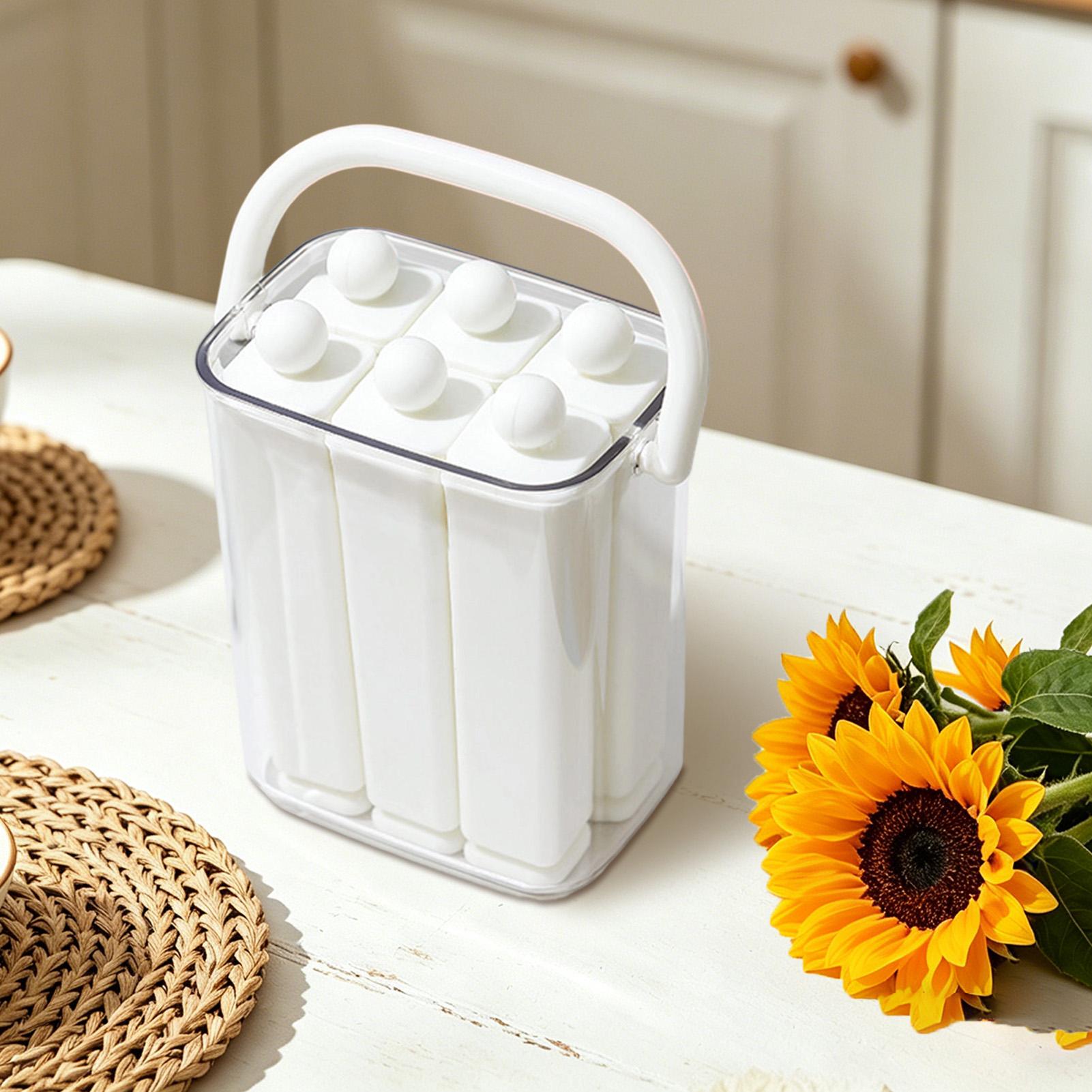 Eisform für Champagnerflaschen – Reusable Bottle Bewertung und Preis