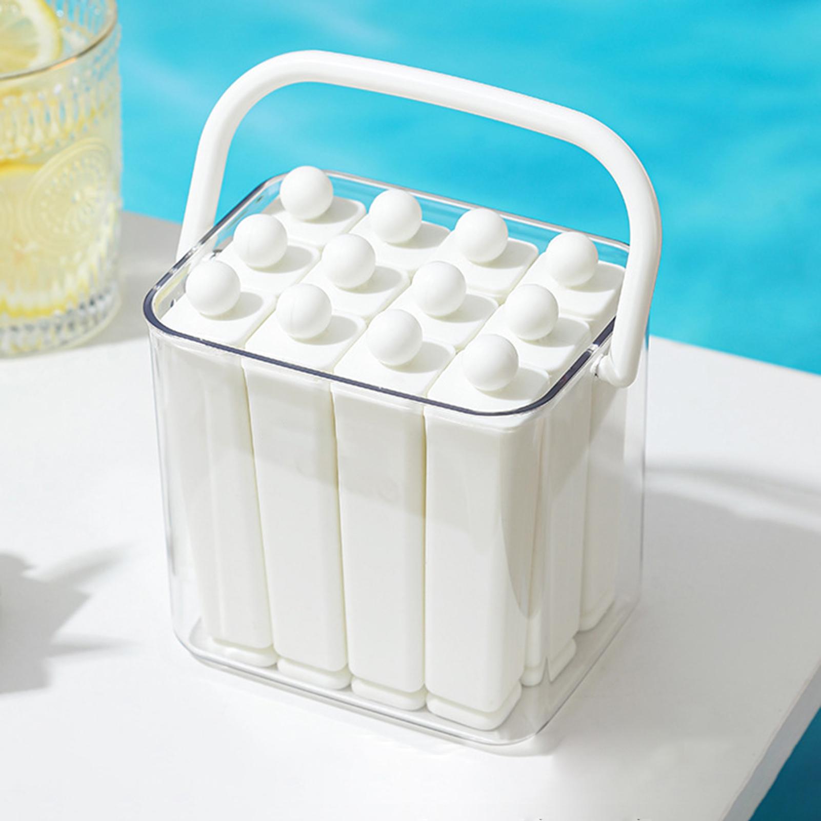 Eisform für Champagnerflaschen – Reusable Bottle Bewertung und Preis