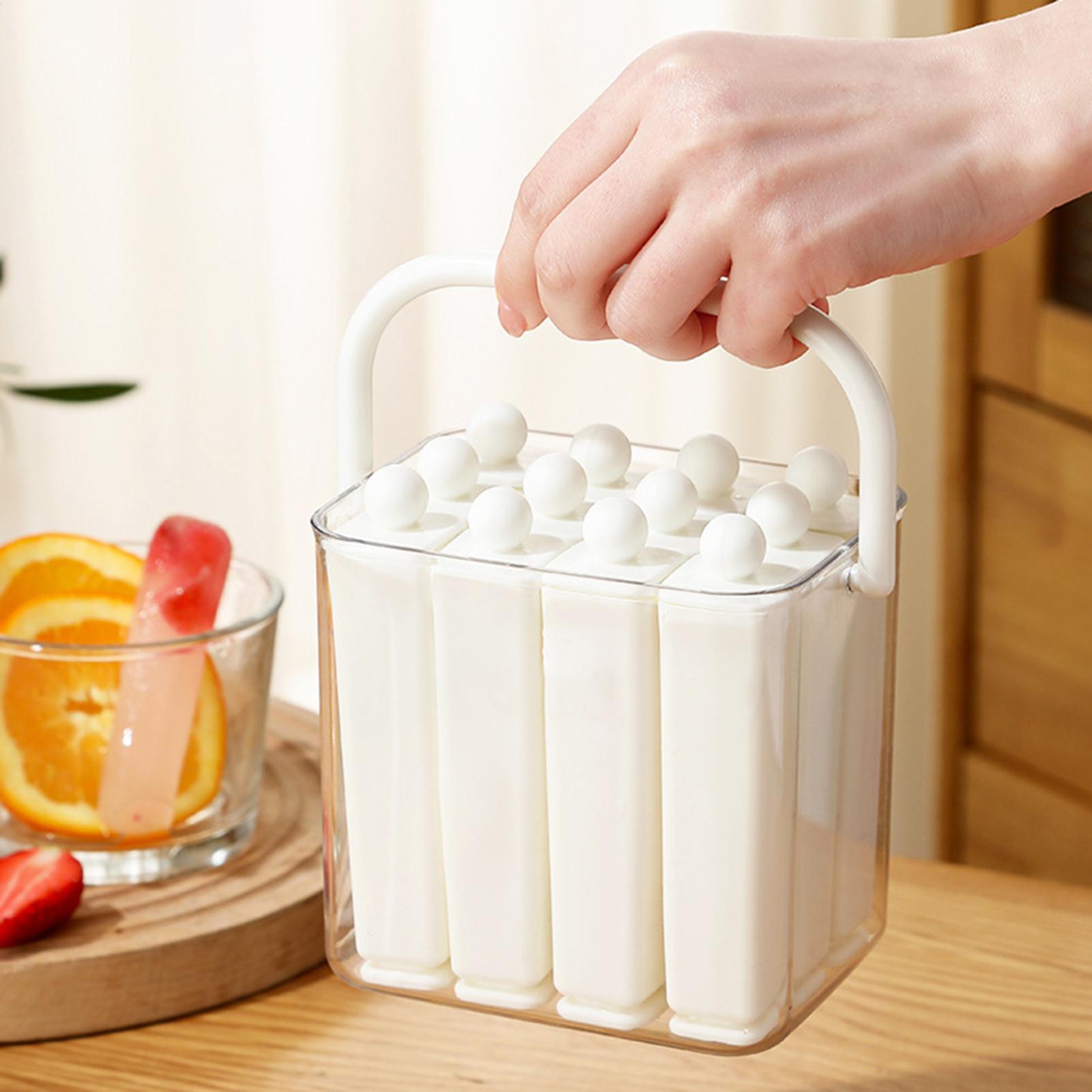 Eisform für Champagnerflaschen – Reusable Bottle Bewertung und Preis